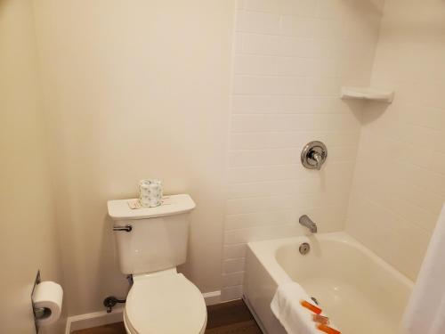 Hiouchi Motel - photo 36