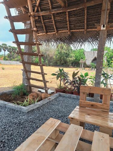 Cosmorama 20633122 — Auroville