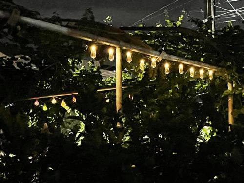 House of greenery