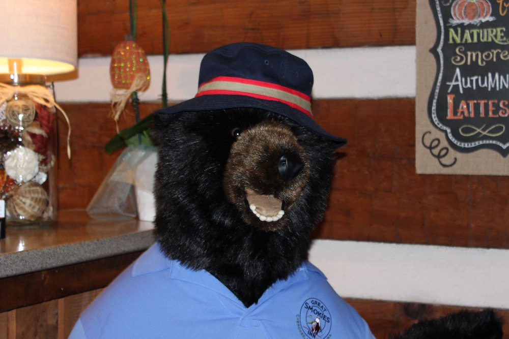 Great Smokies Inn Cherokee - photo 5