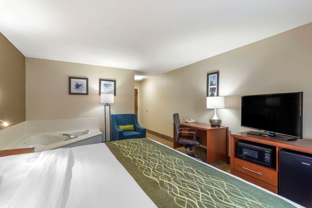 Comfort Inn & Suites near Robins Air Force Base Main Gate - photo 6