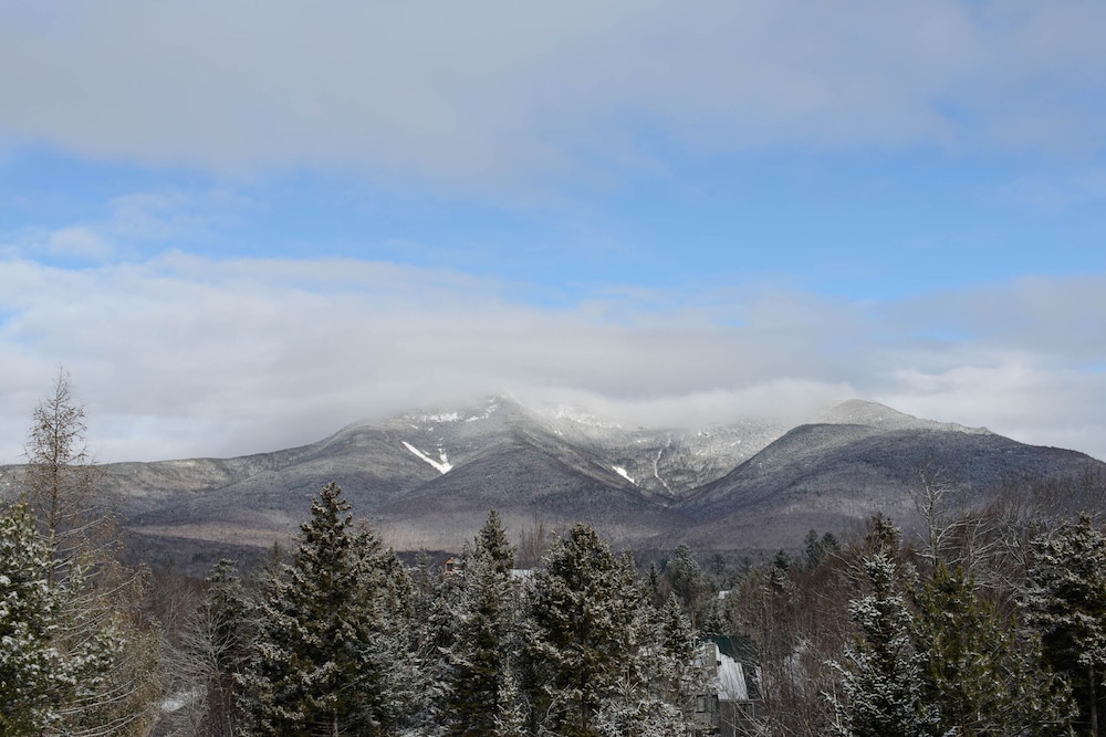Silver Fox Inn - photo 32