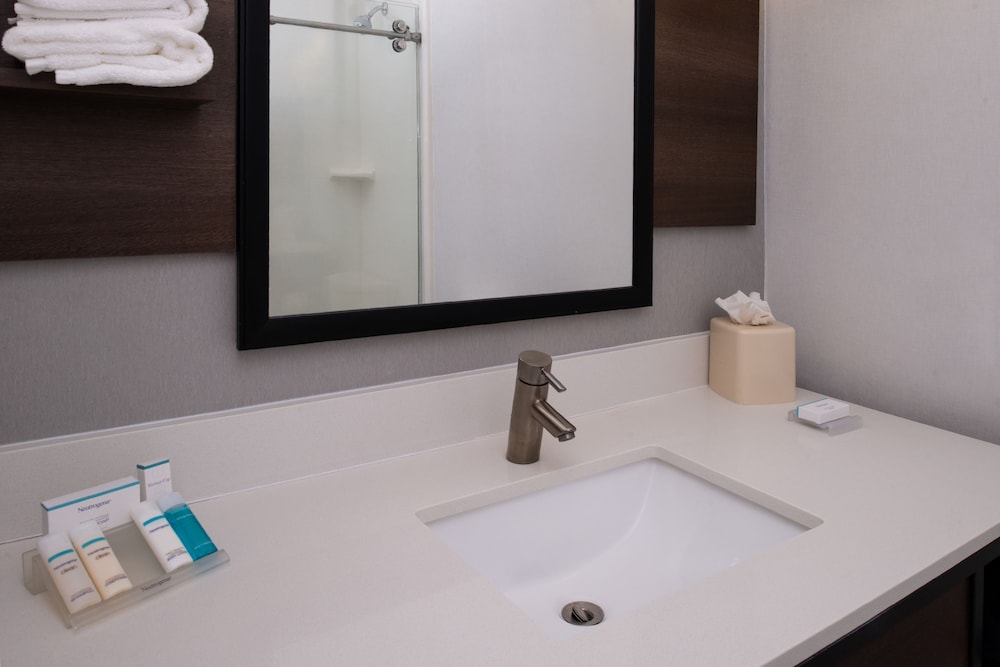 Hilton Garden Inn Baton Rouge Airport - photo 23