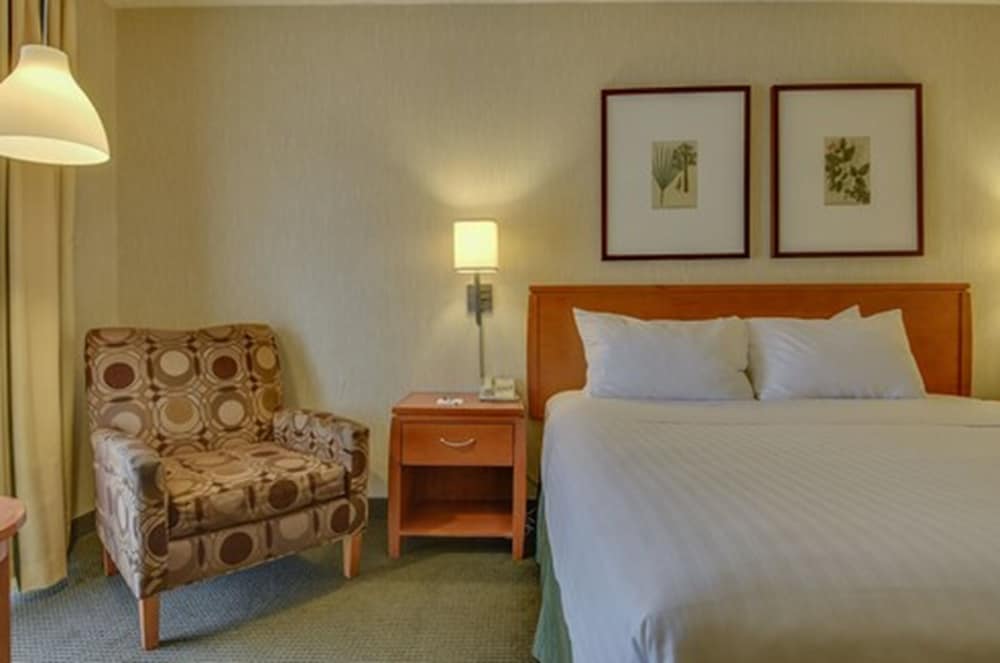Vagabond Inn Los Angeles at USC - photo 9