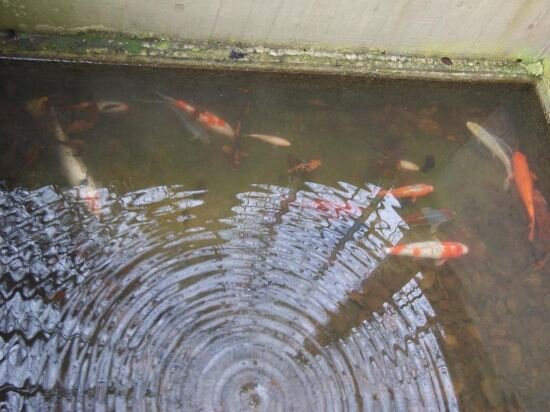 Ferienwohnungen Arrastal in Alfeld, Germany