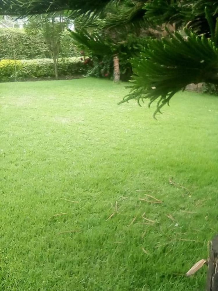 Outdoor wedding area