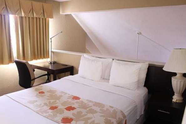 Hawthorn Extended Stay by Wyndham Wichita - photo 22