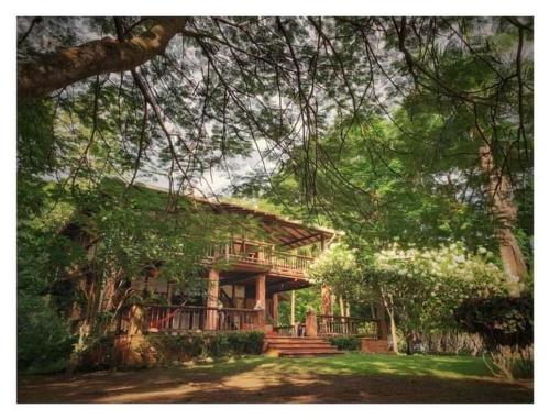Hotel Ceiba Bonga — 4-Star Luxury Hotel in Acandi, Colombia