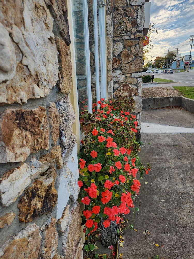 Homestead Motel - photo 53