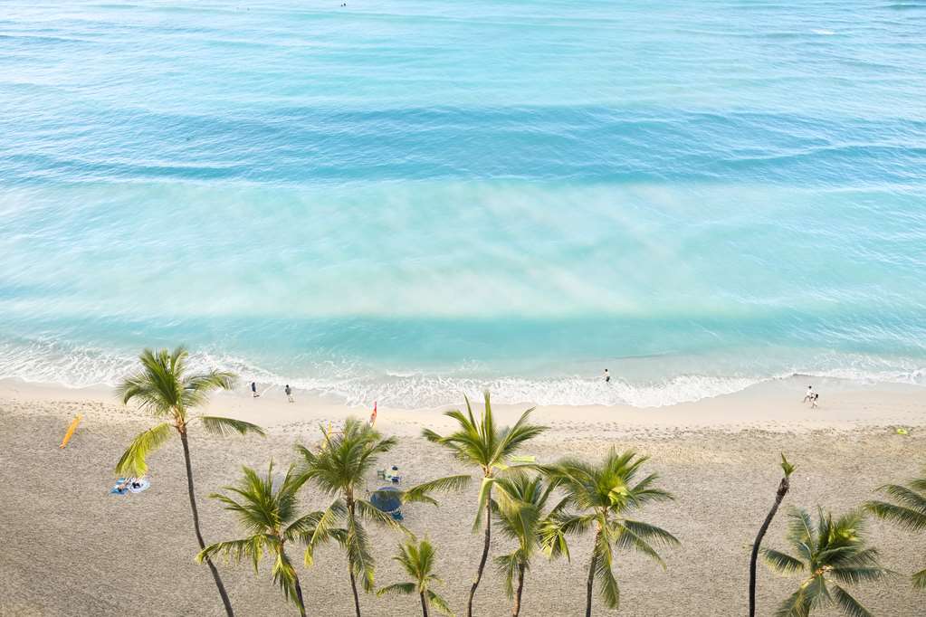 Outrigger Waikiki Beach Resort - photo 8