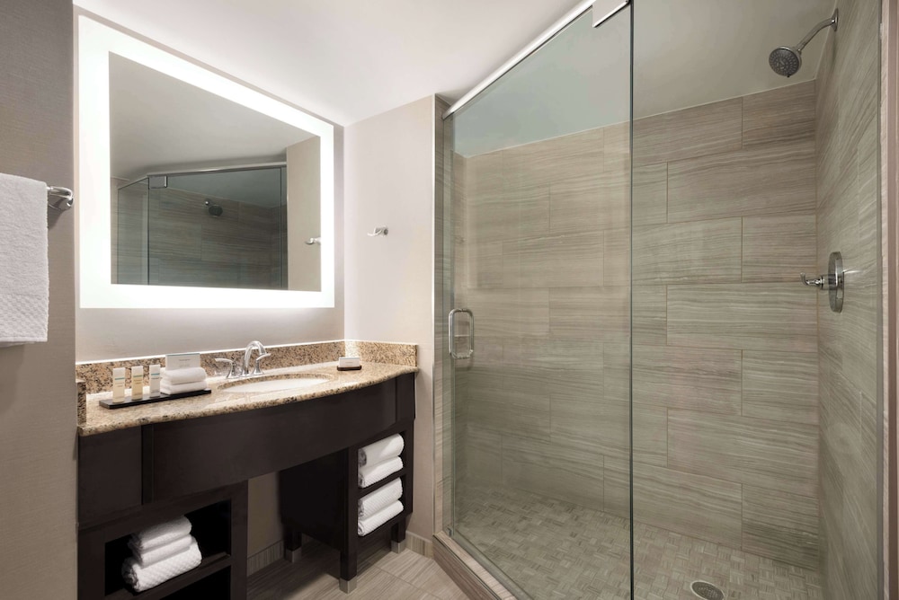 Embassy Suites by Hilton Atlanta Alpharetta - photo 21