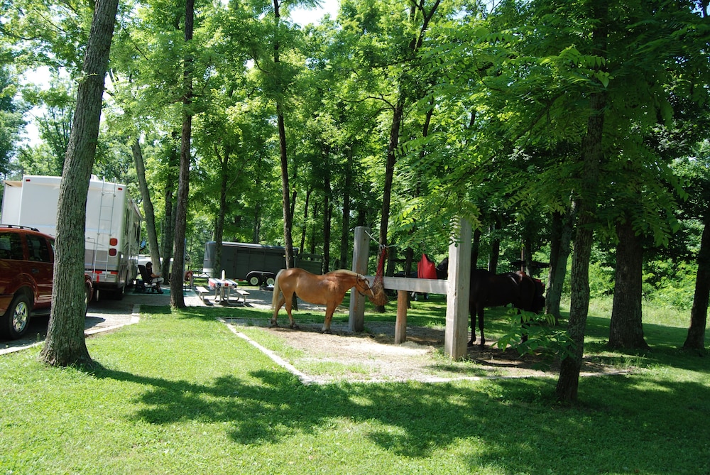 Pennyrile Forest State Resort Park - photo 28