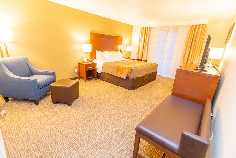 Comfort Inn Salt Lake City Downtown - photo 11