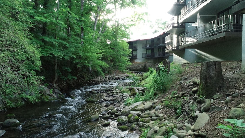 Bear Creek Inn - photo 51