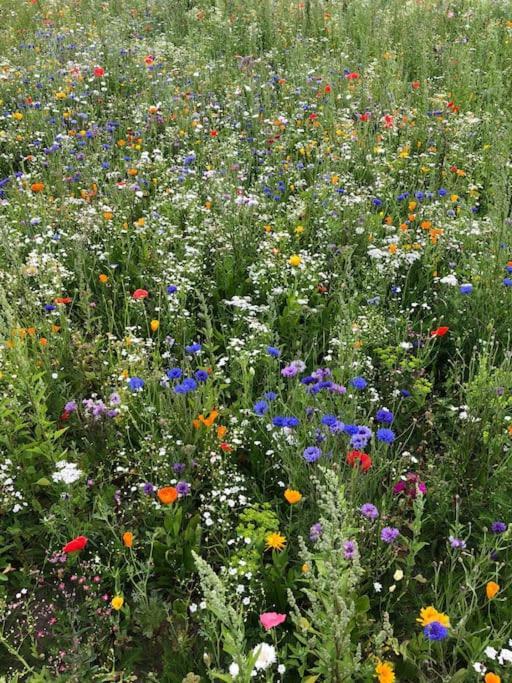 Skønt fiskerhus. Tæt på by havn og havet in Marstal, Denmark