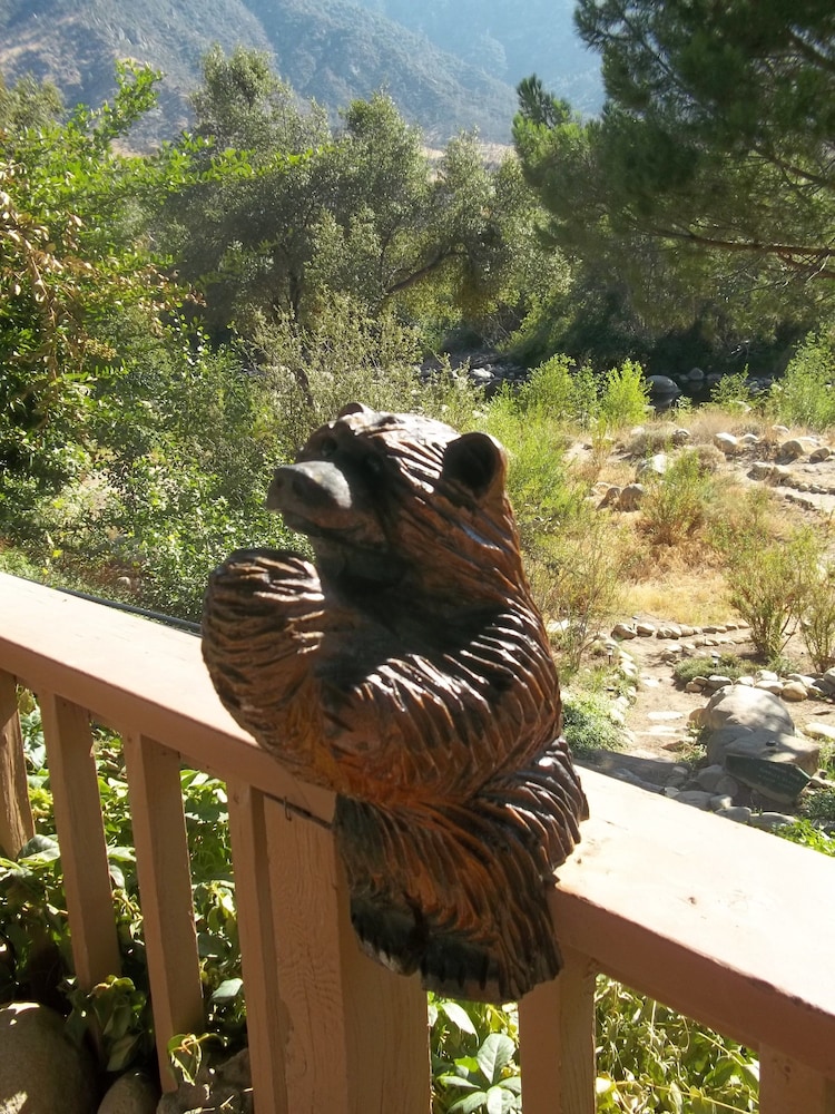 Sequoia Lodge - photo 56