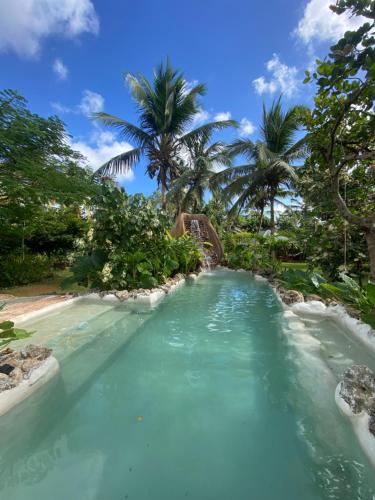 Aventura Rincon Ecolodge — 4-Star Luxury Hotel in Samana, Dominican Republic