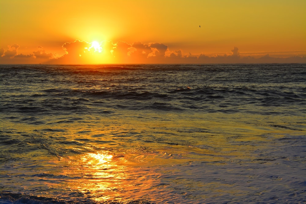 The Saint Augustine Beach House - photo 45