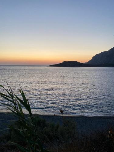 Studio Saroukos — Kalymnos — photo 2