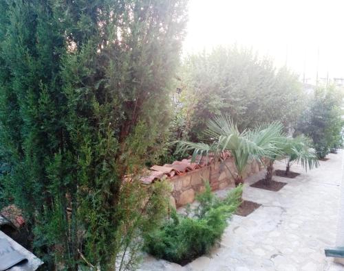 guest house Calma