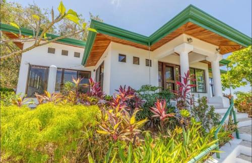 Driftwood ocean view in Unknown City, Costa Rica