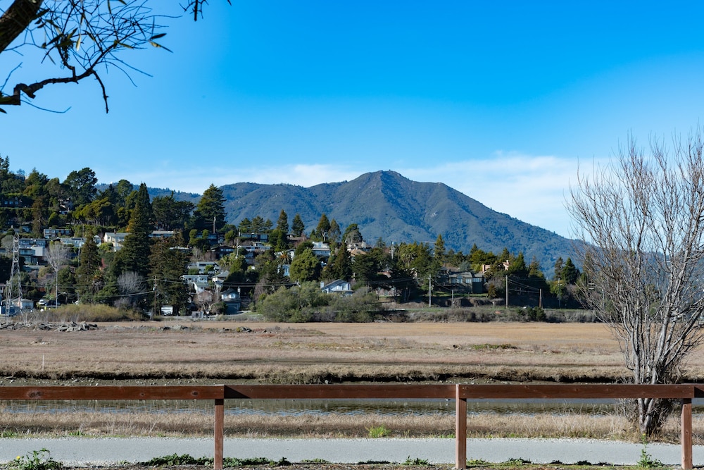 Holiday Inn Express Mill Valley San Francisco Area by IHG - photo 66