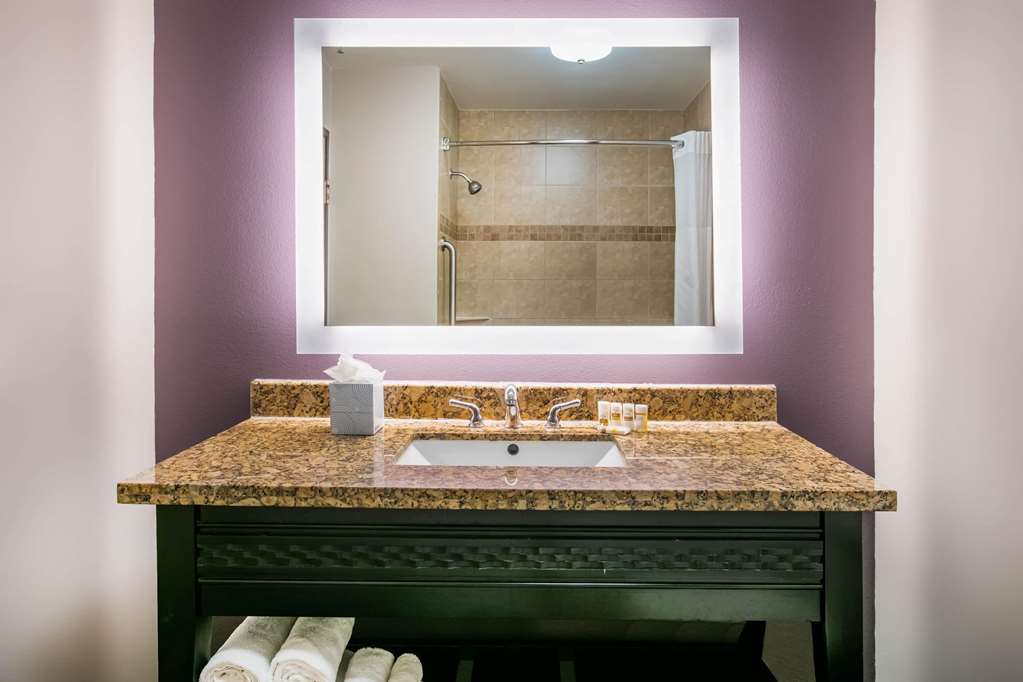 La Quinta Inn & Suites by Wyndham DFW Airport West Euless - photo 26