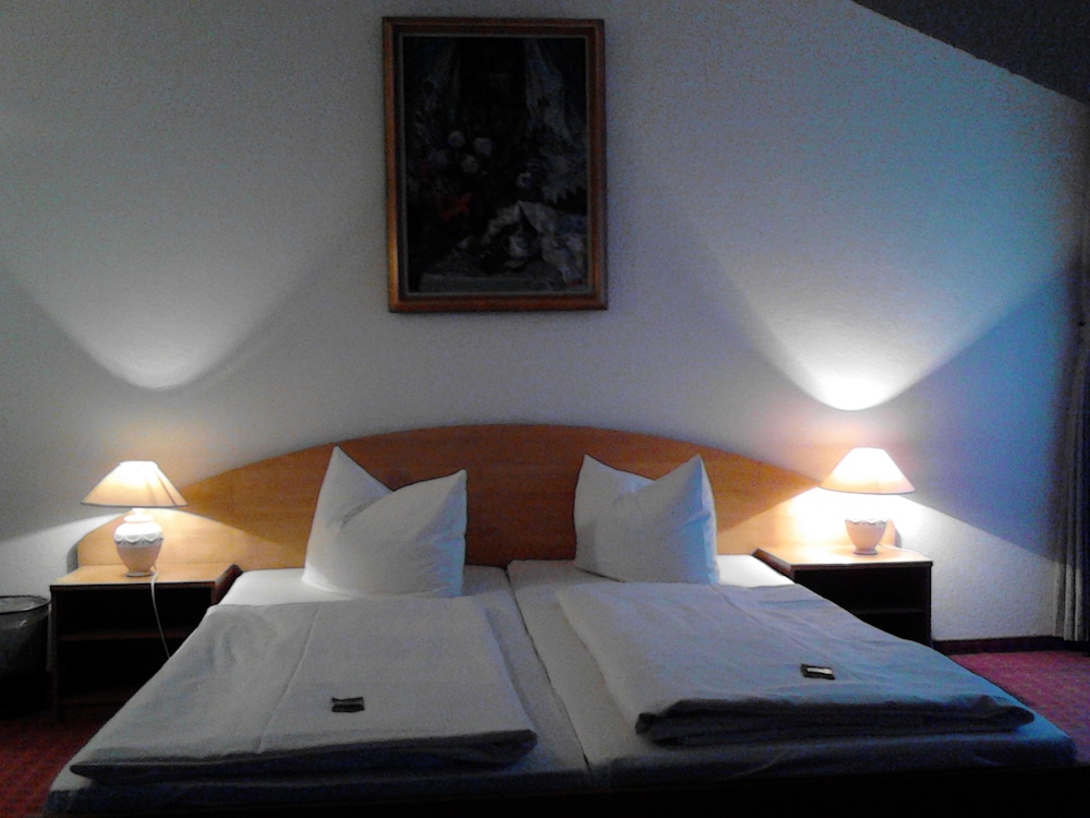 Residenz Hotel Paulsdorfer Hof — Dippoldiswalde — photo 4