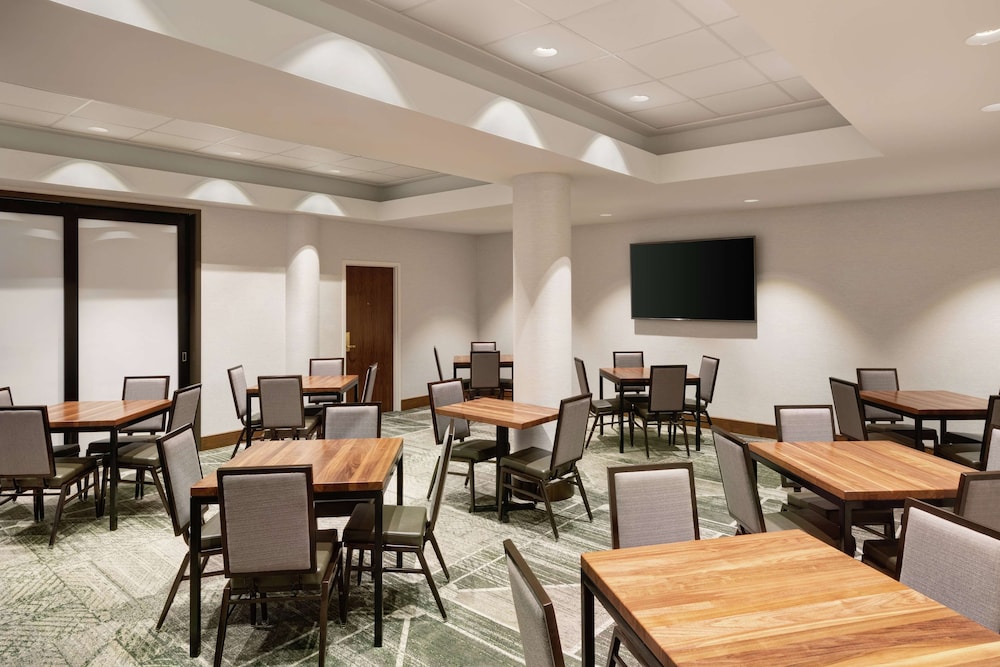 Embassy Suites by Hilton Tysons Corner - photo 26