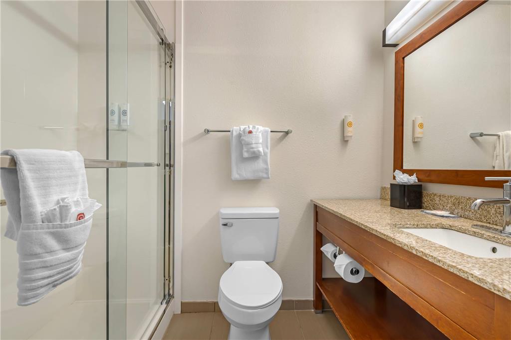 Comfort Inn & Suites Carbondale on the Roaring Fork - photo 41