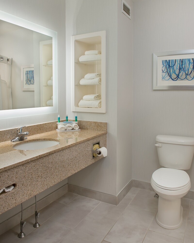 Holiday Inn Express Suites Clifton Park by IHG - photo 29