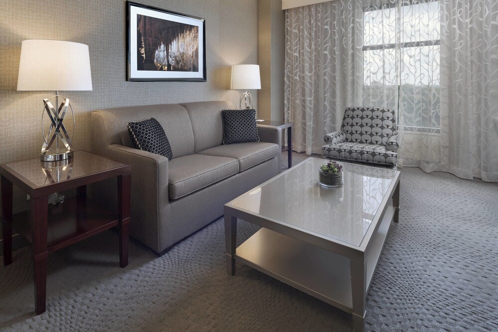 Sheraton Austin Georgetown Hotel & Conference Center - photo 9