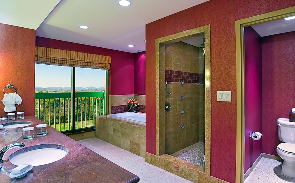 Embassy Suites by Hilton Nashville SE Murfreesboro - photo 27
