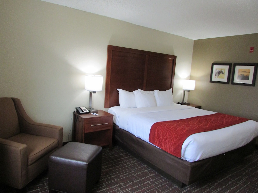 Comfort Inn Wichita Falls Near University - photo 8