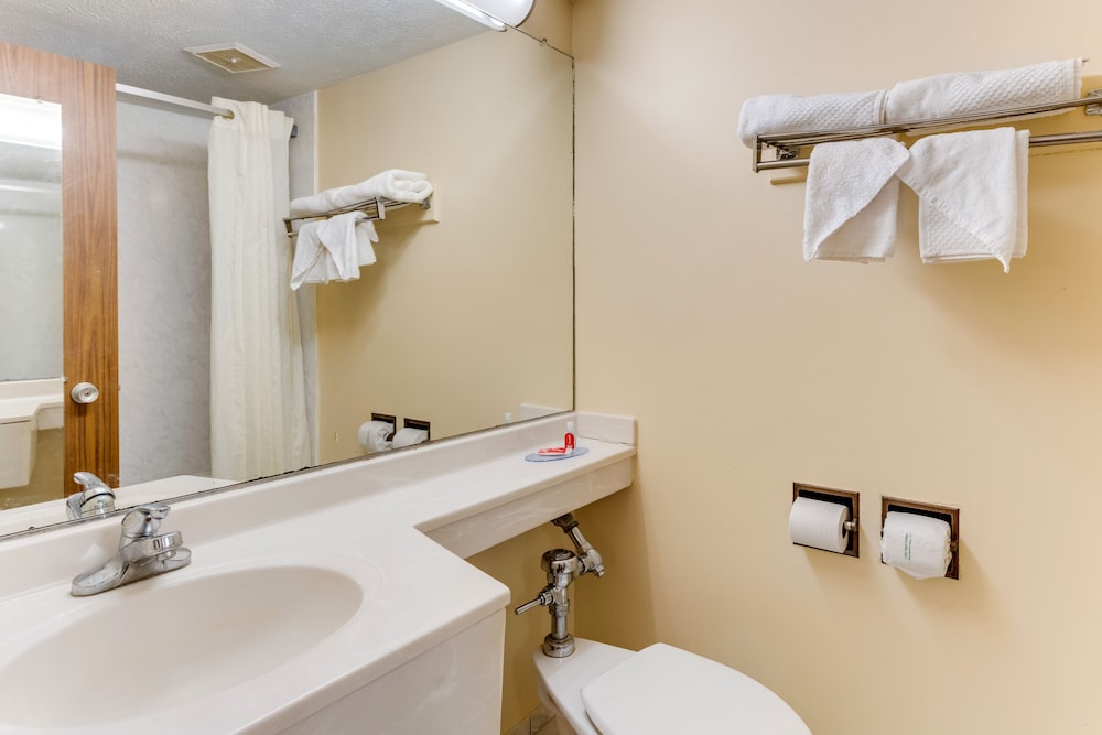 Econo Lodge Inn And Suites - photo 27
