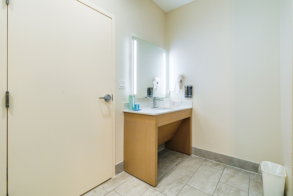 Palace Inn IAH Houston Bush Intercontinental Airport - photo 6