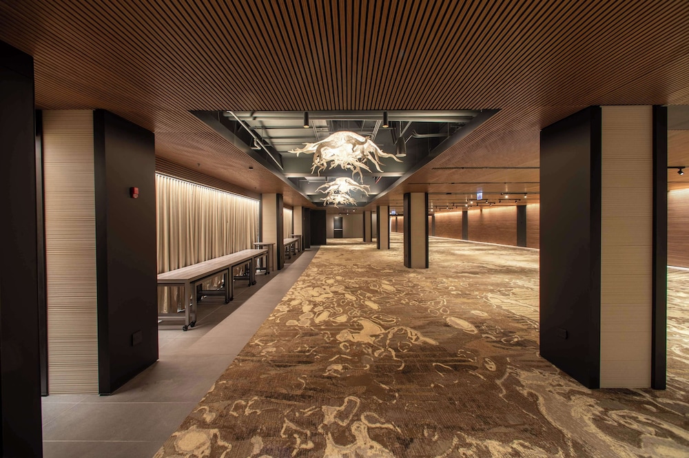 Hilton Chicago O'Hare Airport - photo 91