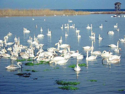 Agroktima Fourki in Aigio, Greece