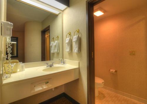 Smoky Mountain Inn & Suites - photo 22