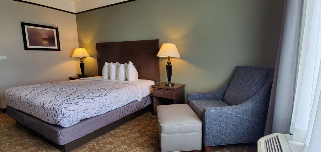 Best Western Plus Emory At Lake Fork Inn & Suites - photo 14