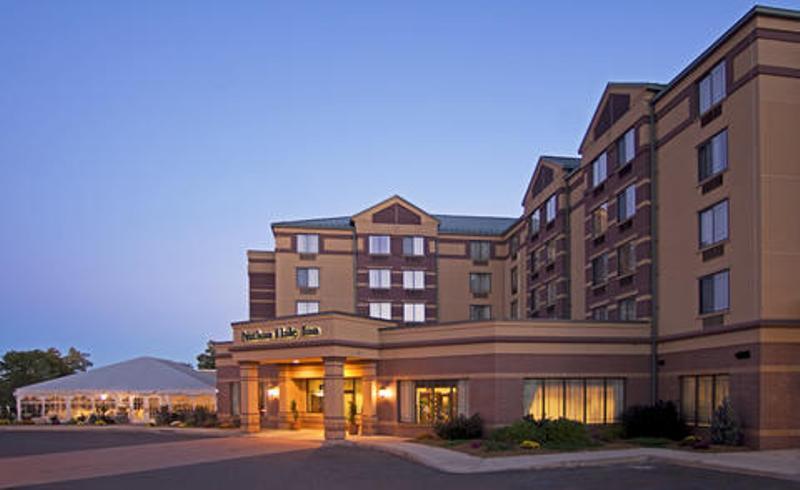 Graduate by Hilton Storrs - photo 3