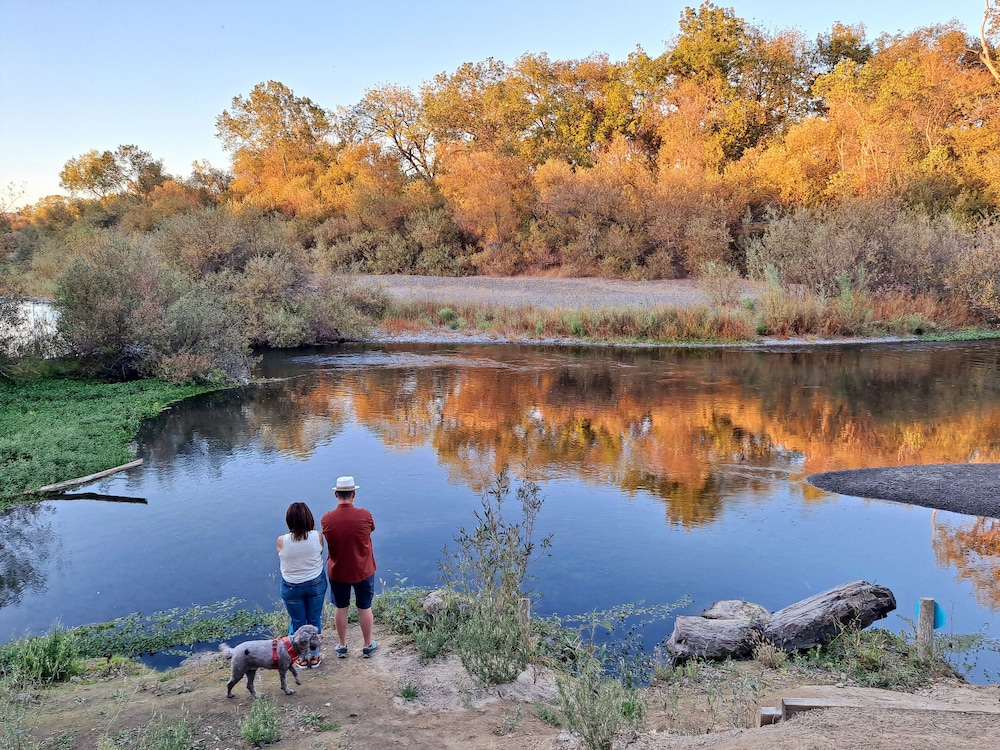 Wildhaven Sonoma Glamping - photo 51