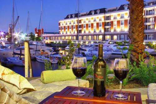 Luxurious Apartment in central Waterfront