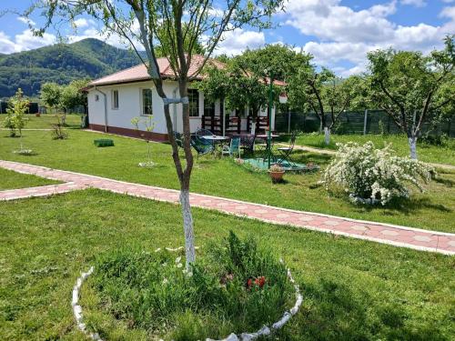 Desculti prin iarba la 6 6 km de centrul Piatra Neamt in Piatra Neamt, Romania