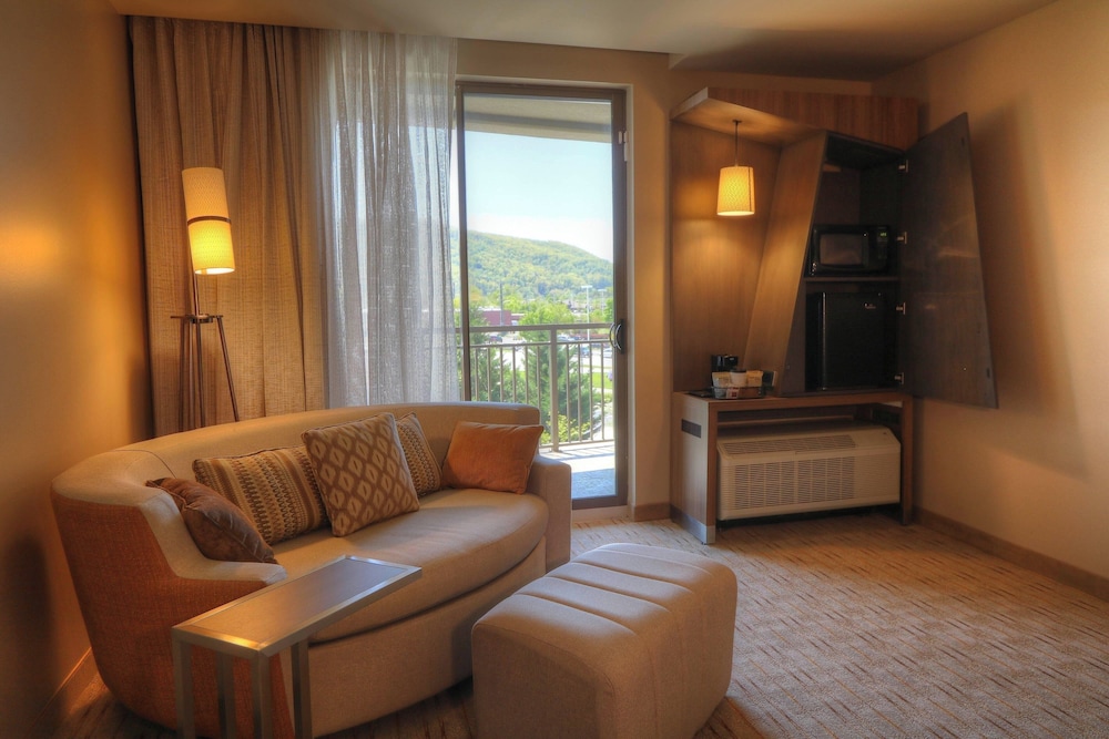 Courtyard by Marriott Pigeon Forge - photo 66