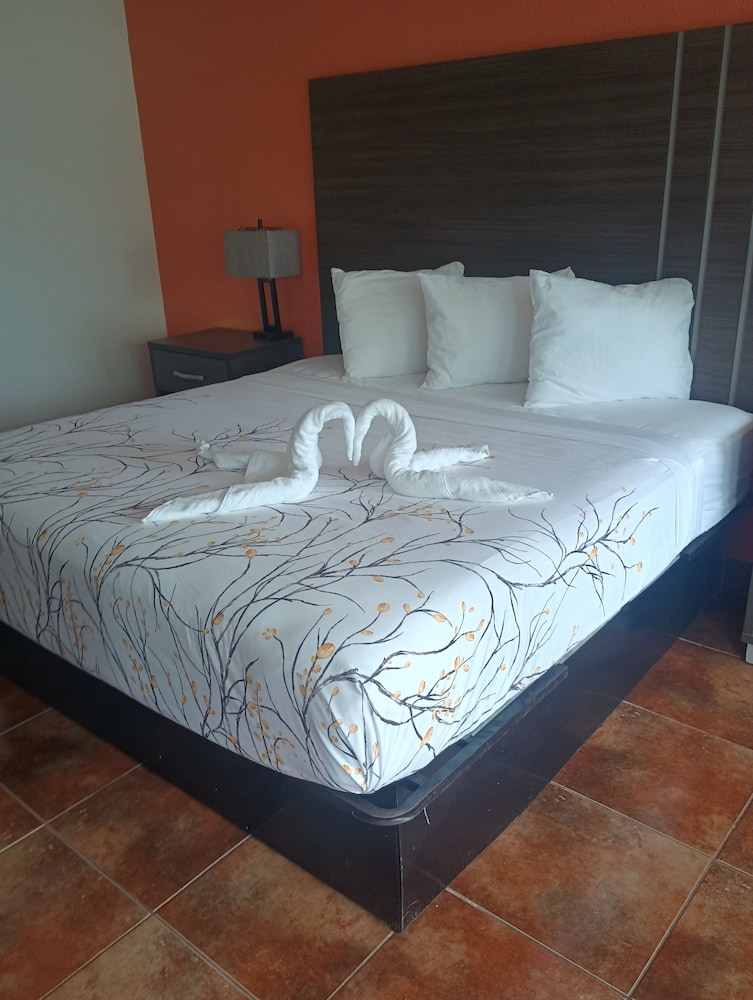 Altamonte Springs Hotel and Suites - photo 11