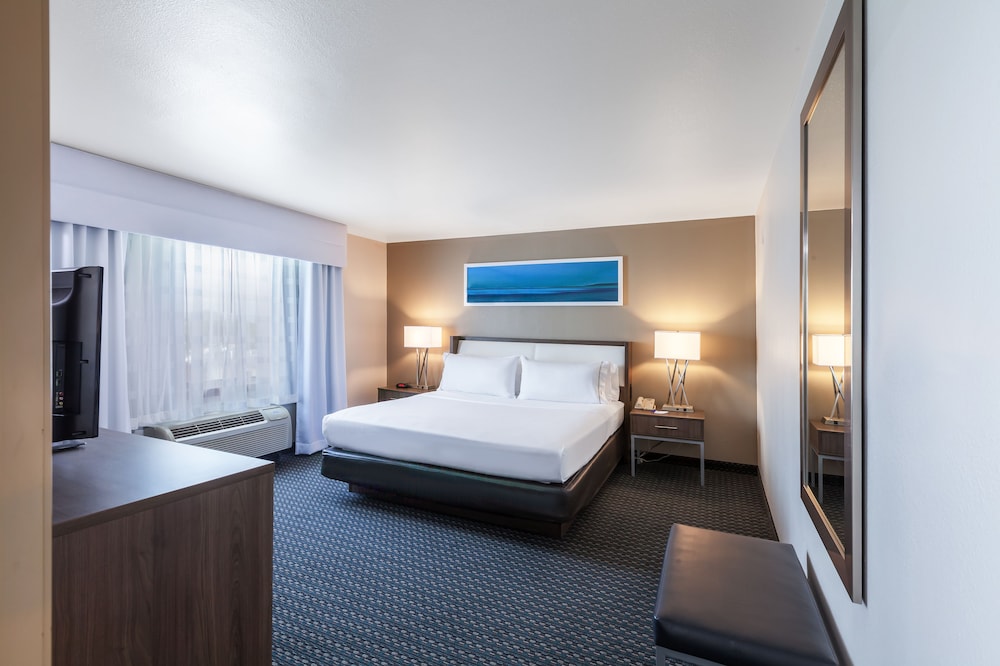 Holiday Inn Express Hotel & Suites Pharr by IHG - photo 16