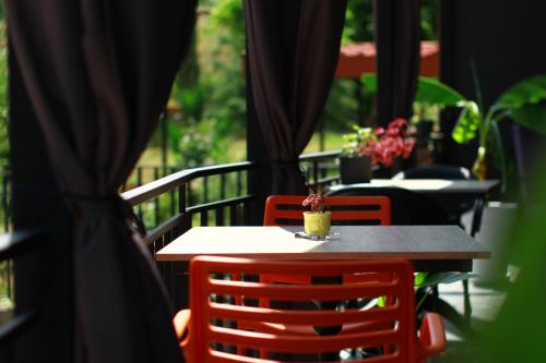 Hotel უცხო utskho