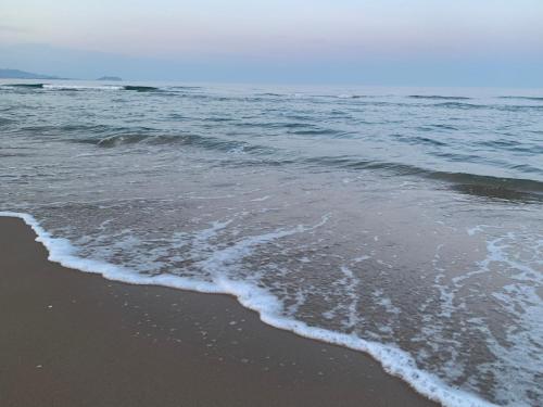 Excellent view Julia — Alicante — photo 3