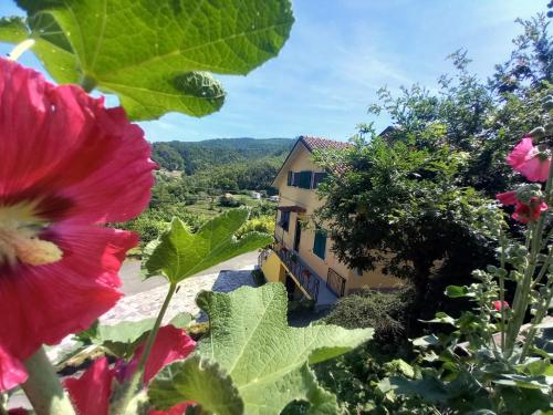 La valle fiorita — hotel in Pignone